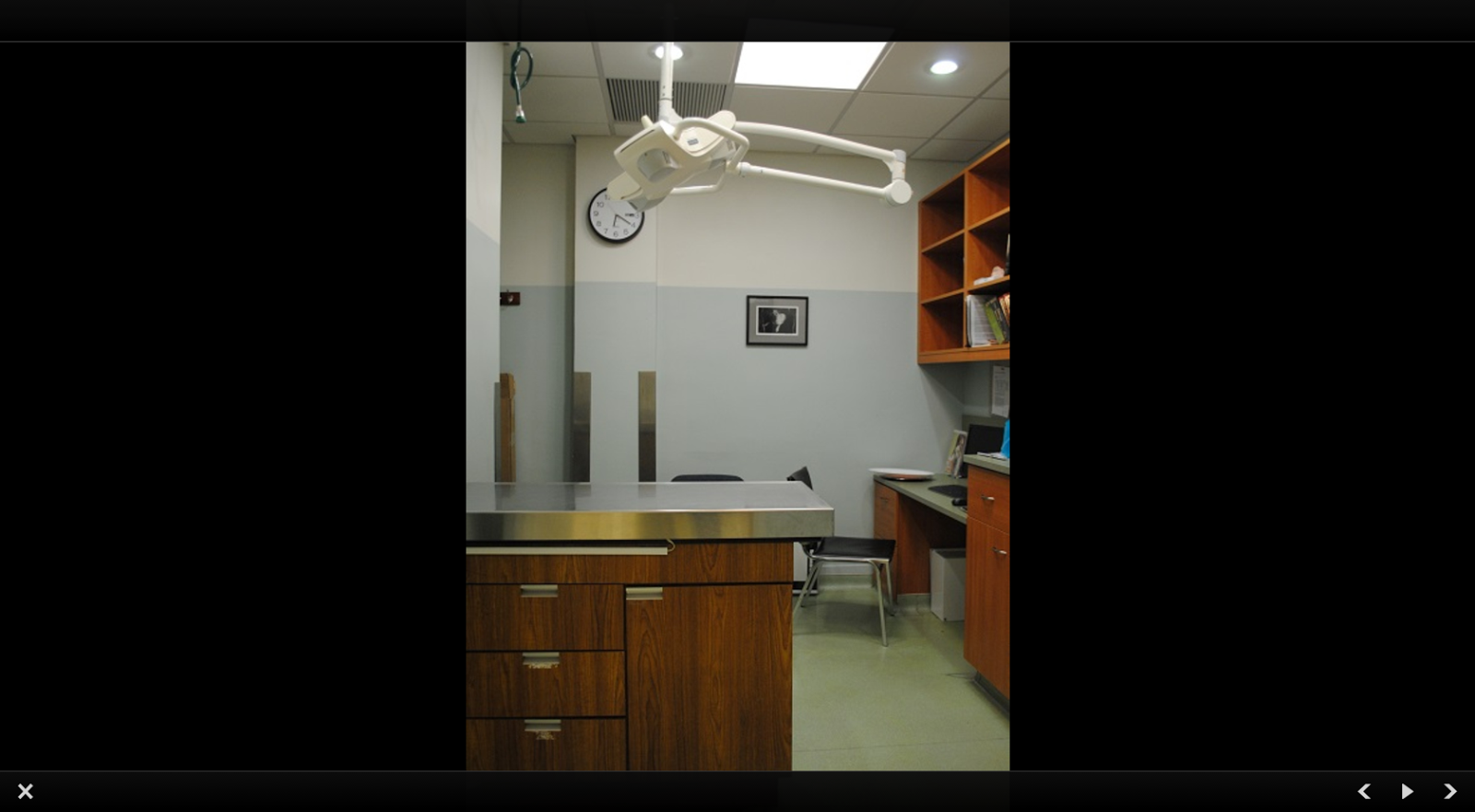 Photo of West Village Veterinary Hospital in New York City, New York, United States - 7 Picture of Point of interest, Establishment, Veterinary care