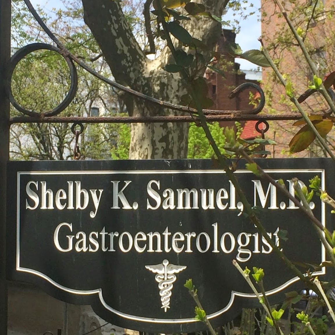 Photo of Shelby K Samuel, MD in Brooklyn City, New York, United States - 1 Picture of Point of interest, Establishment, Health, Doctor