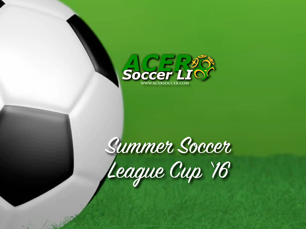 Photo of Acer Soccer LI in Lynbrook City, New York, United States - 1 Picture of Point of interest, Establishment
