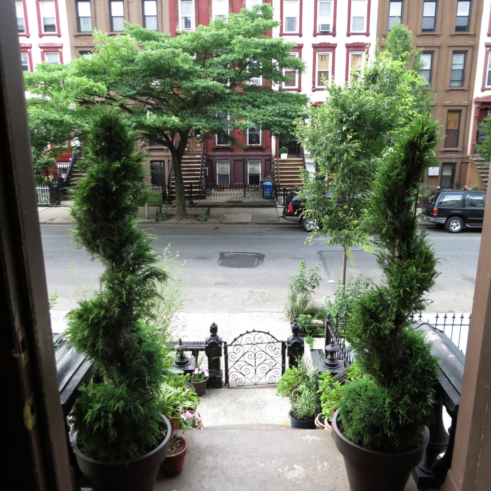 Photo of Historic Brownstone Vacation Rentals in New York City, New York, United States - 4 Picture of Point of interest, Establishment