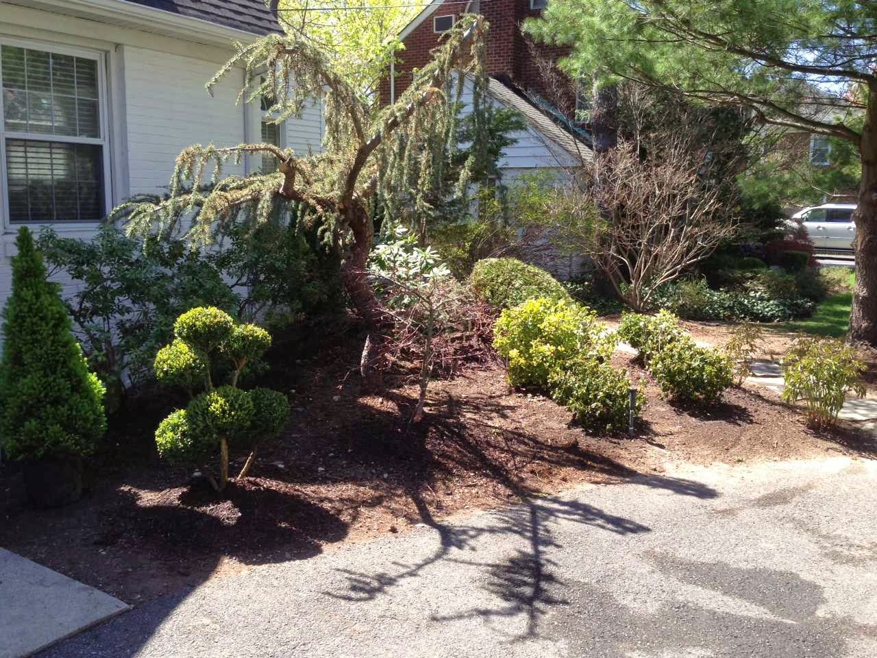 Photo of Steve Sywetz Landscaping in Bergenfield City, New Jersey, United States - 7 Picture of Point of interest, Establishment