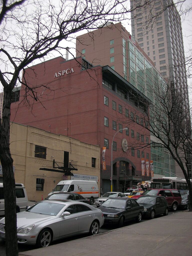 Photo of ASPCA Animal Hospital in New York City, New York, United States - 2 Picture of Point of interest, Establishment, Veterinary care