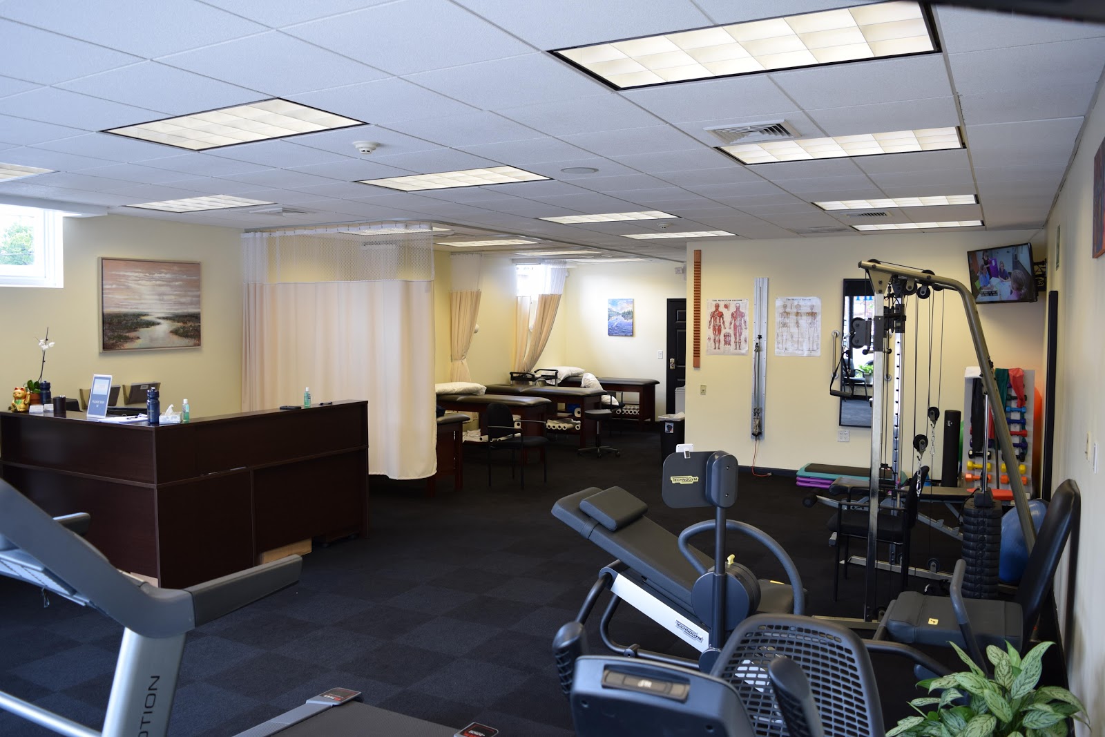 Photo of Elite Spine & Sports Care of Totowa in Totowa City, New Jersey, United States - 1 Picture of Point of interest, Establishment, Health, Doctor, Physiotherapist