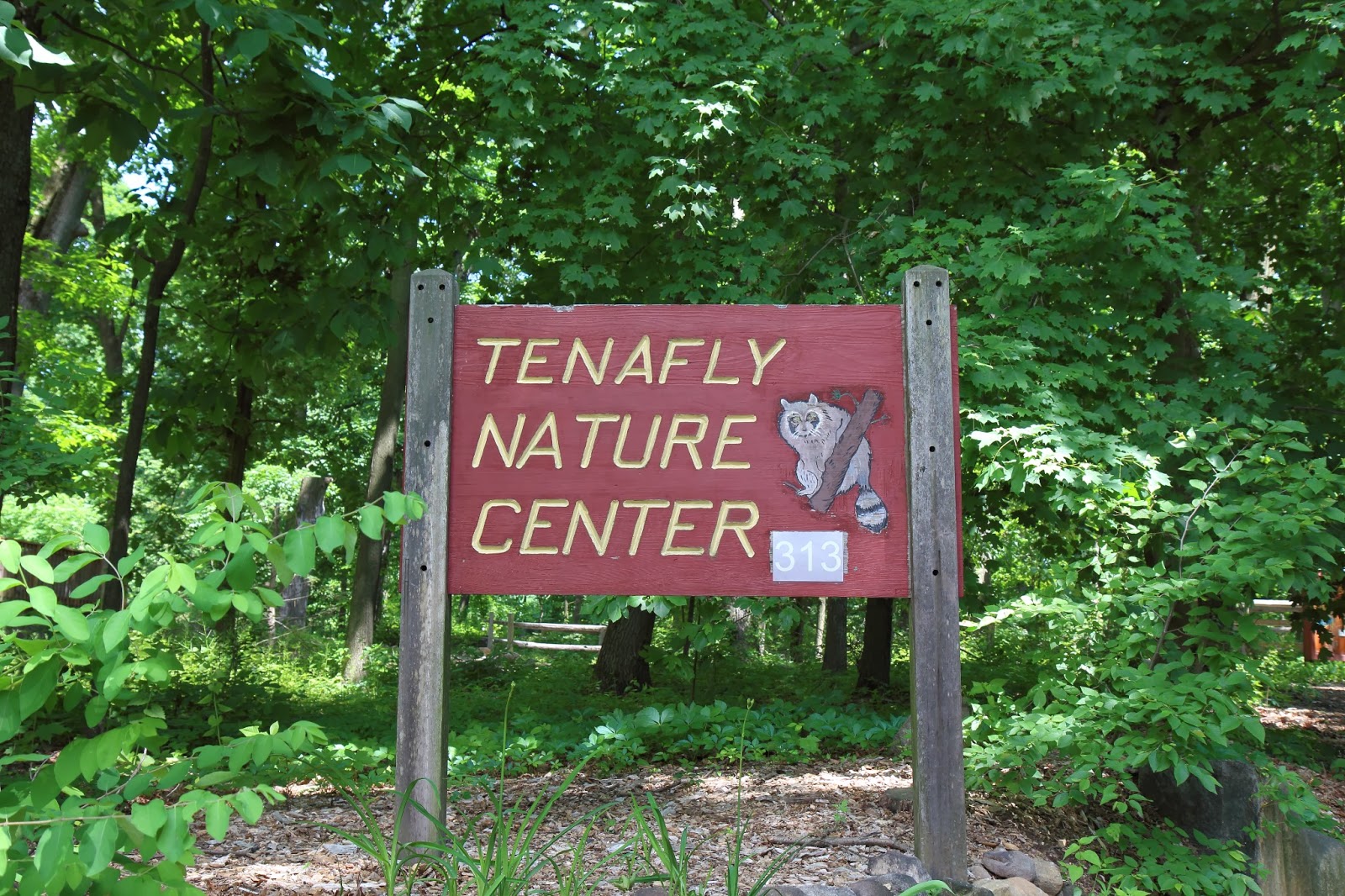 Photo of Tenafly Nature Center in Tenafly City, New Jersey, United States - 10 Picture of Point of interest, Establishment, Park