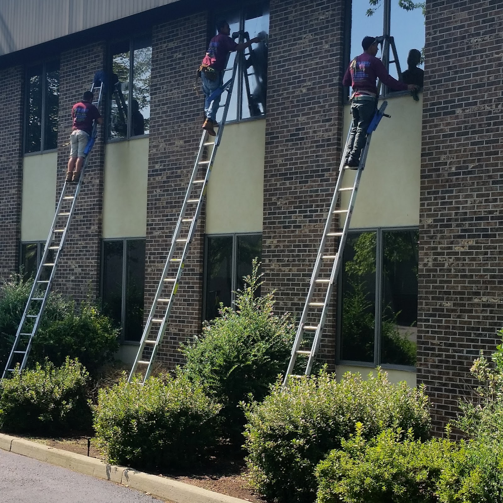 Photo of New Jersey Window & Gutter Cleaning LLC in New Jersey, United States - 1 Picture of Point of interest, Establishment