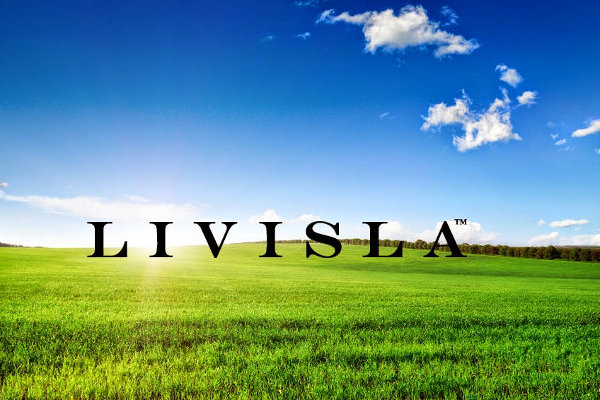 Photo of Livisla LLC in Elmwood Park City, New Jersey, United States - 1 Picture of Point of interest, Establishment