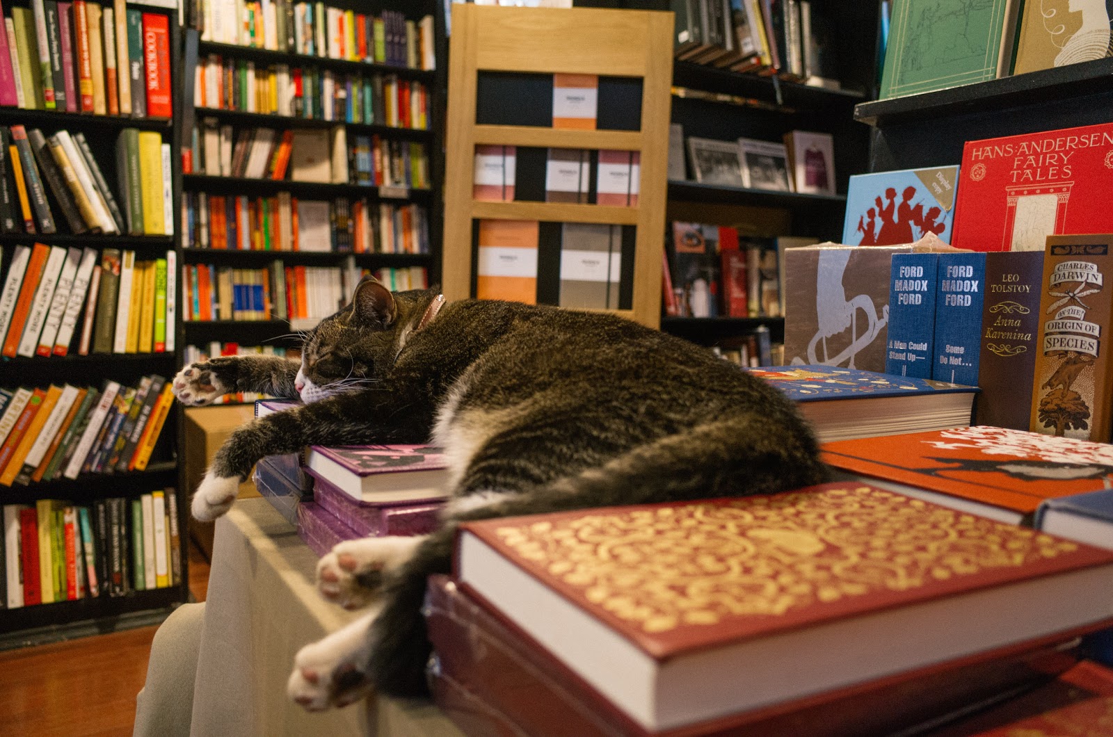 Photo of Community Bookstore in Kings County City, New York, United States - 5 Picture of Point of interest, Establishment, Store, Book store