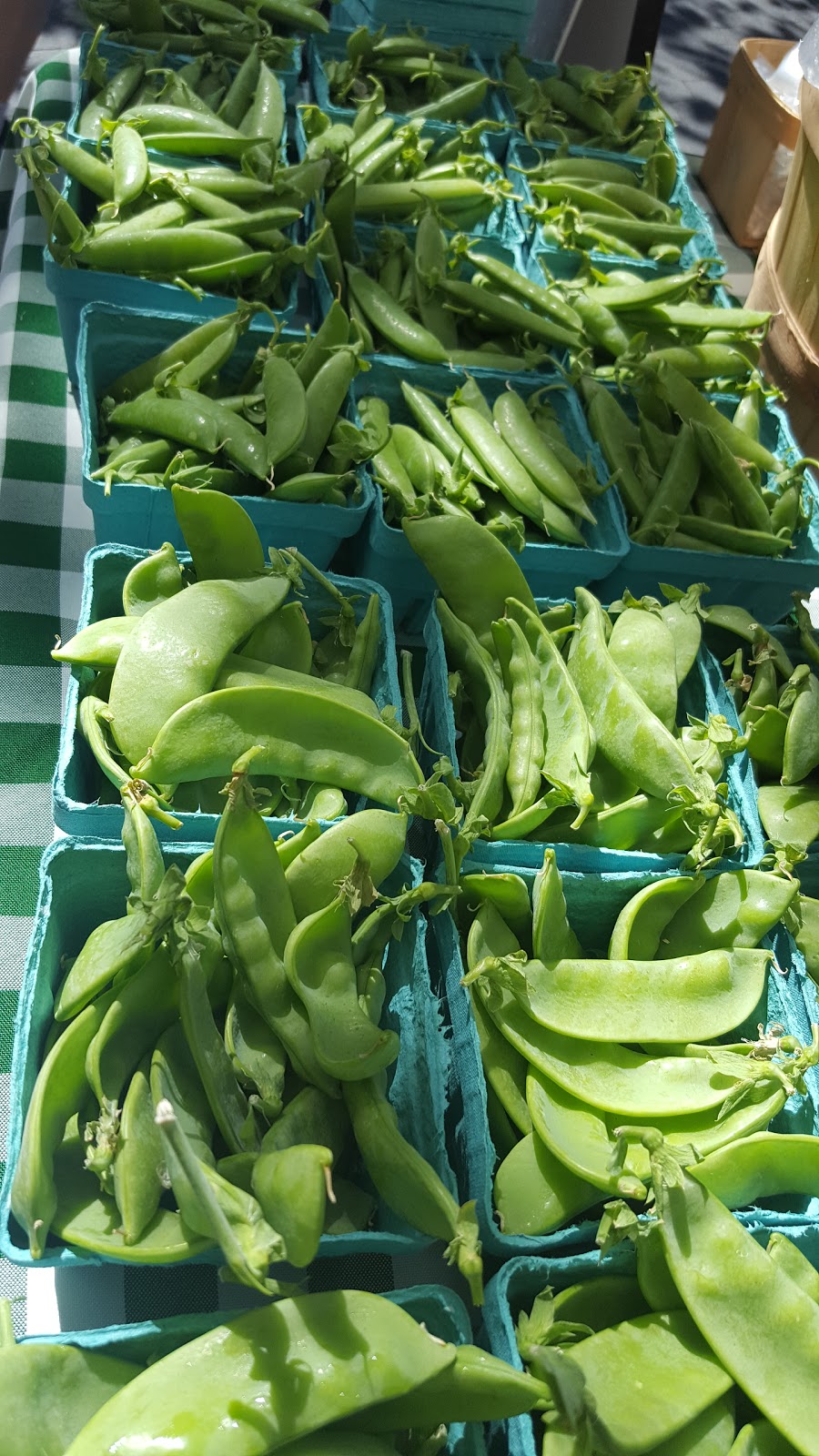 Photo of Tucker Square Greenmarket in New York City, New York, United States - 4 Picture of Food, Point of interest, Establishment