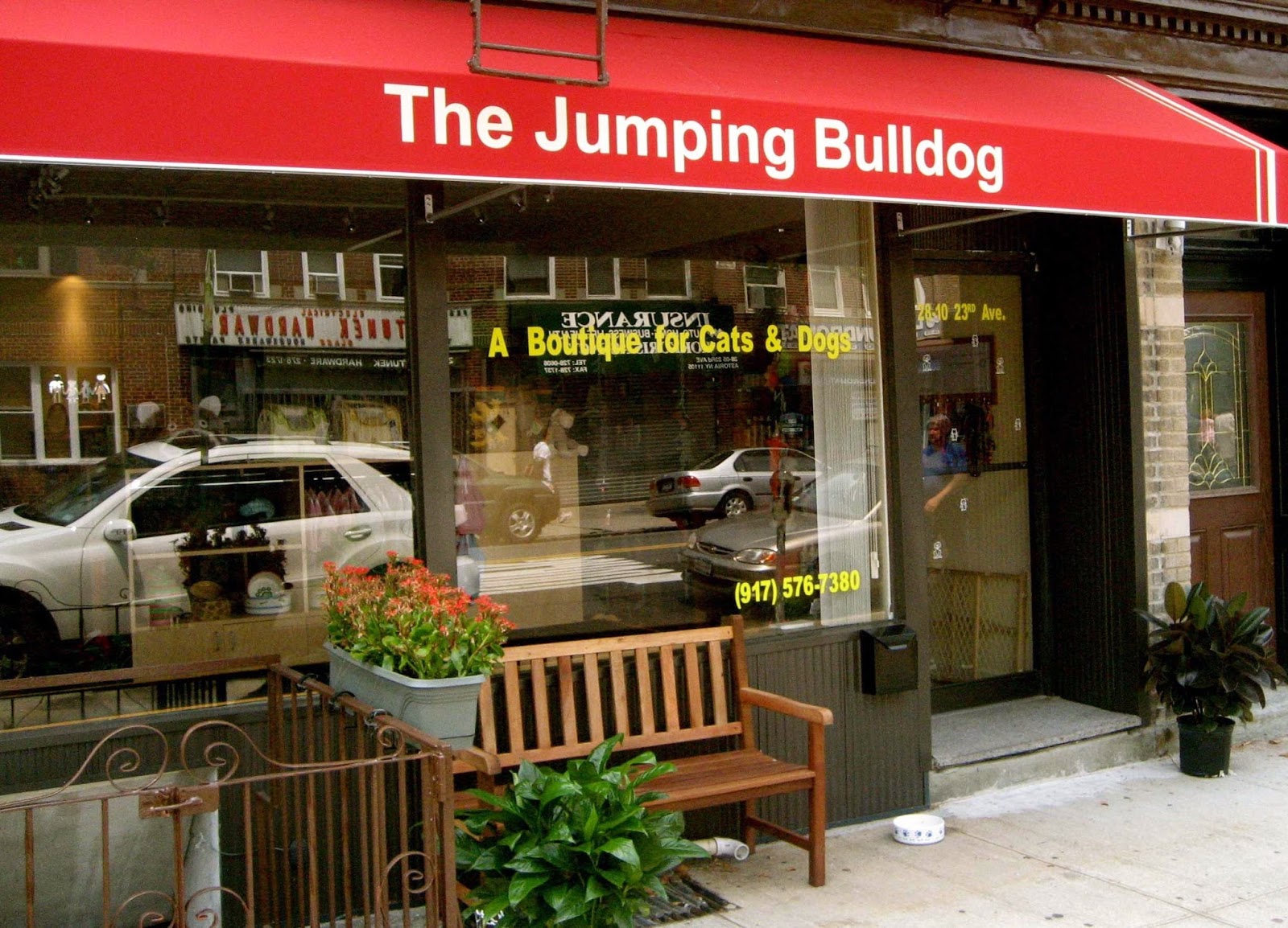 Photo of The Jumping Bulldog in Astoria City, New York, United States - 1 Picture of Point of interest, Establishment, Store