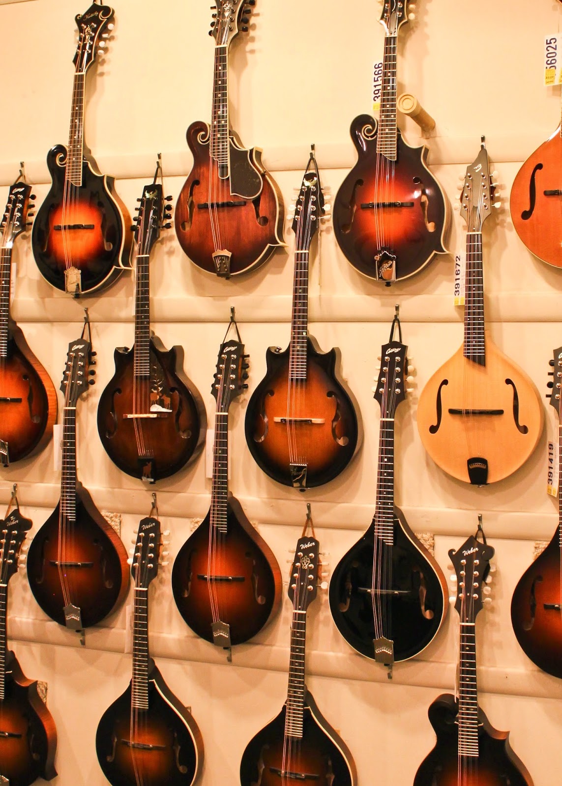 Photo of Mandolin Brothers in Staten Island City, New York, United States - 5 Picture of Point of interest, Establishment, Store