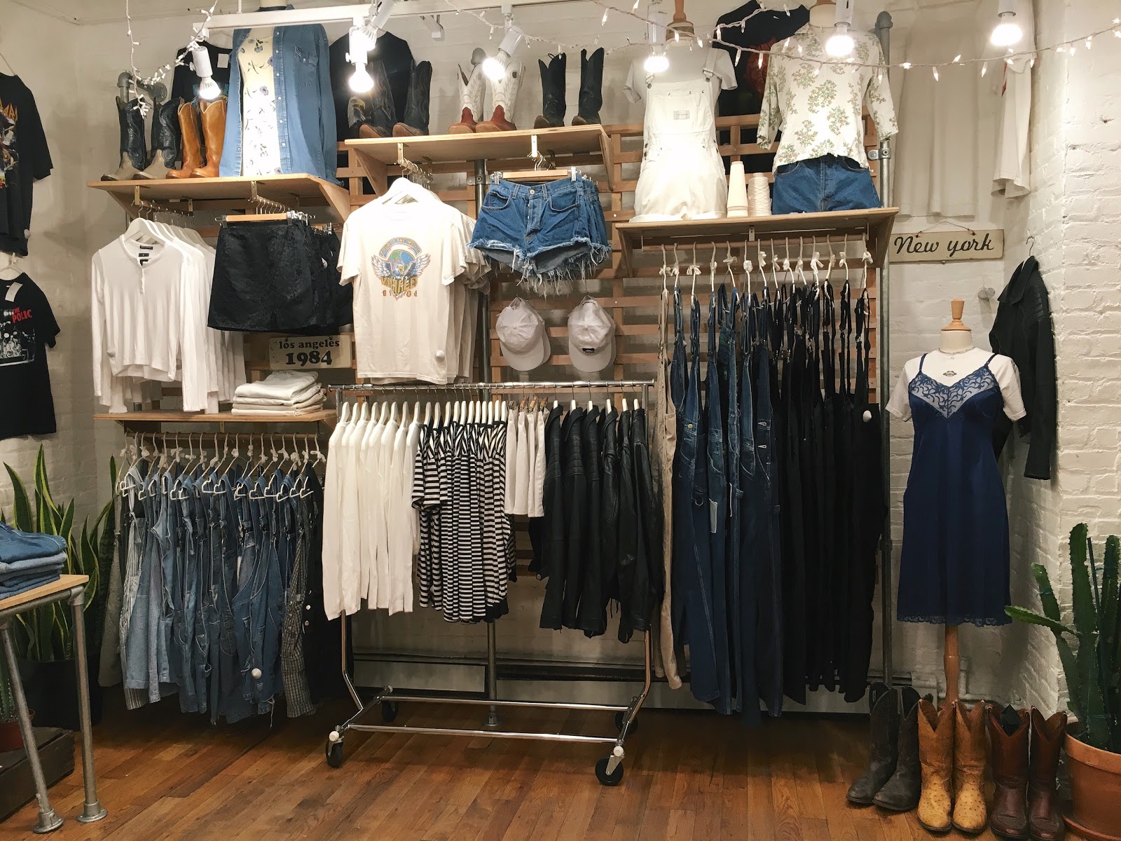 Photo of Brandy Melville in New York City, New York, United States - 1 Picture of Point of interest, Establishment, Store, Clothing store