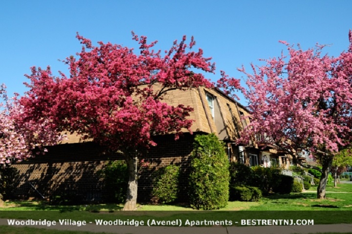 Photo of Woodbridge Village in Avenel City, New Jersey, United States - 3 Picture of Point of interest, Establishment, Real estate agency