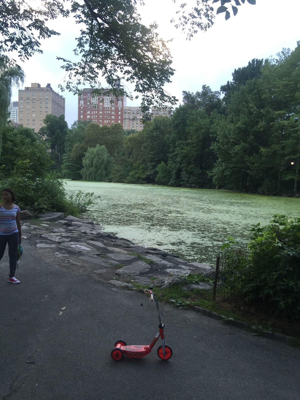 Photo of NYC Parks Enforcement Patrol in New York City, New York, United States - 3 Picture of Point of interest, Establishment, Park