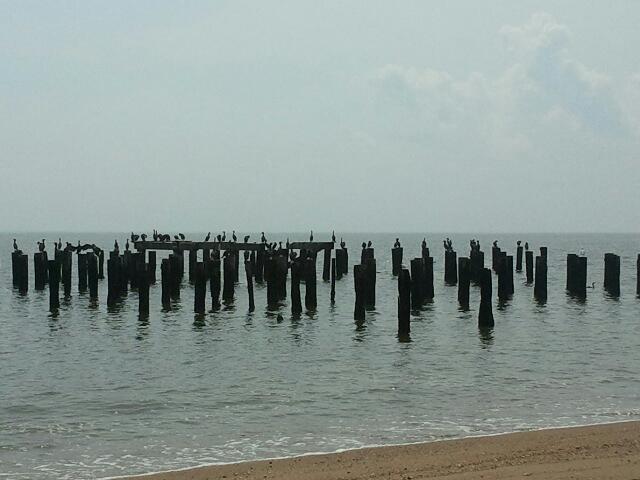 Photo of Miller Field in Staten Island City, New York, United States - 2 Picture of Point of interest, Establishment, Park