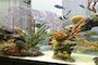 Photo of City Aquarium LLC in Brooklyn City, New York, United States - 1 Picture of Point of interest, Establishment, Aquarium