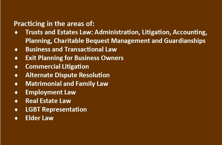 Photo of Vishnick Mc Govern Milizio LLP in New Hyde Park City, New York, United States - 5 Picture of Point of interest, Establishment, Lawyer