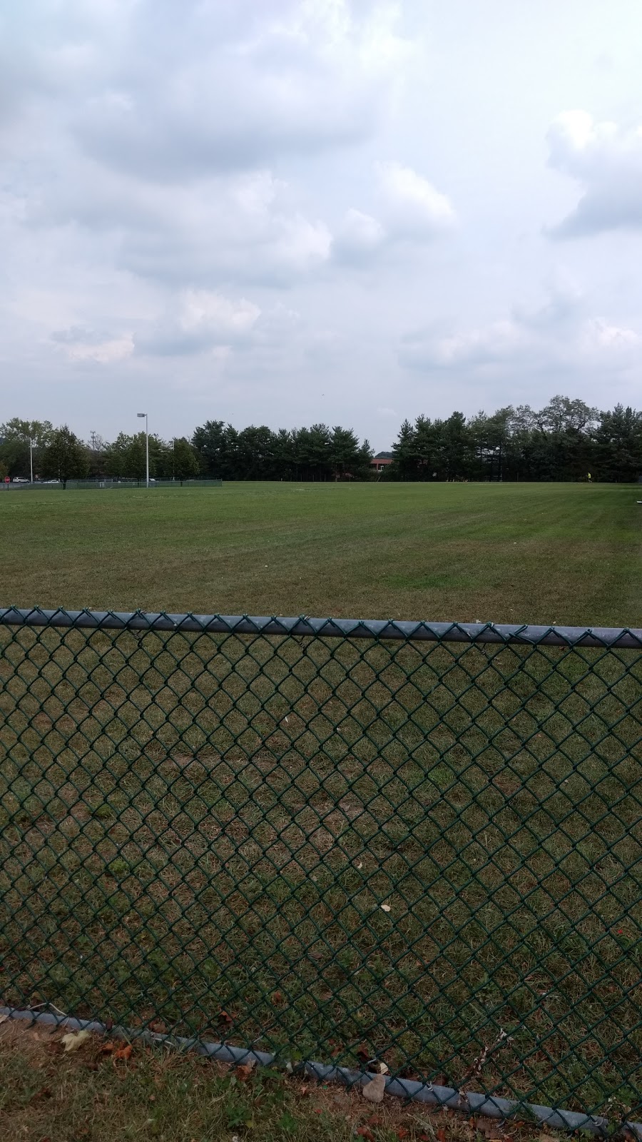 Photo of I-Park Soccer Fields in New Hyde Park City, New York, United States - 1 Picture of Point of interest, Establishment