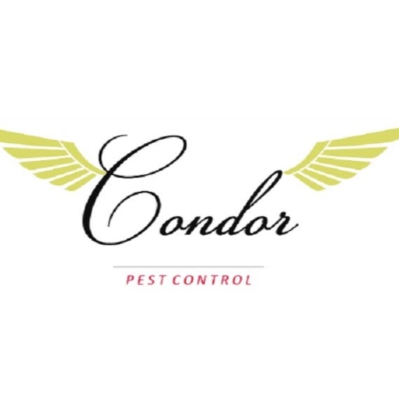 Photo of Condor Pest Control Inc. in Cedarhurst City, New York, United States - 7 Picture of Point of interest, Establishment, Store, Home goods store