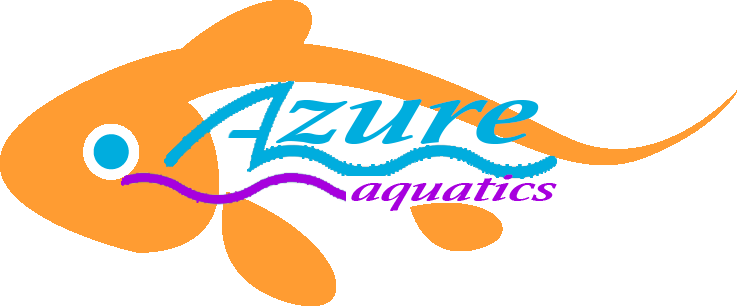 Photo of Azure Aquatics LLC in Fair Lawn City, New Jersey, United States - 6 Picture of Point of interest, Establishment, Aquarium