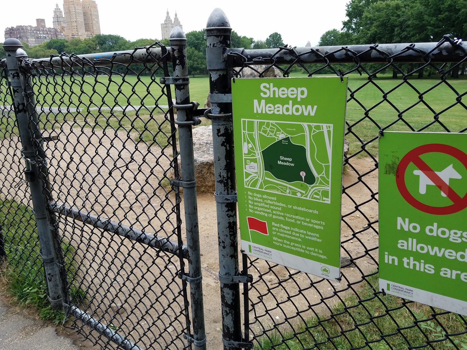 Photo of Sheep Meadow in New York City, New York, United States - 6 Picture of Point of interest, Establishment, Park