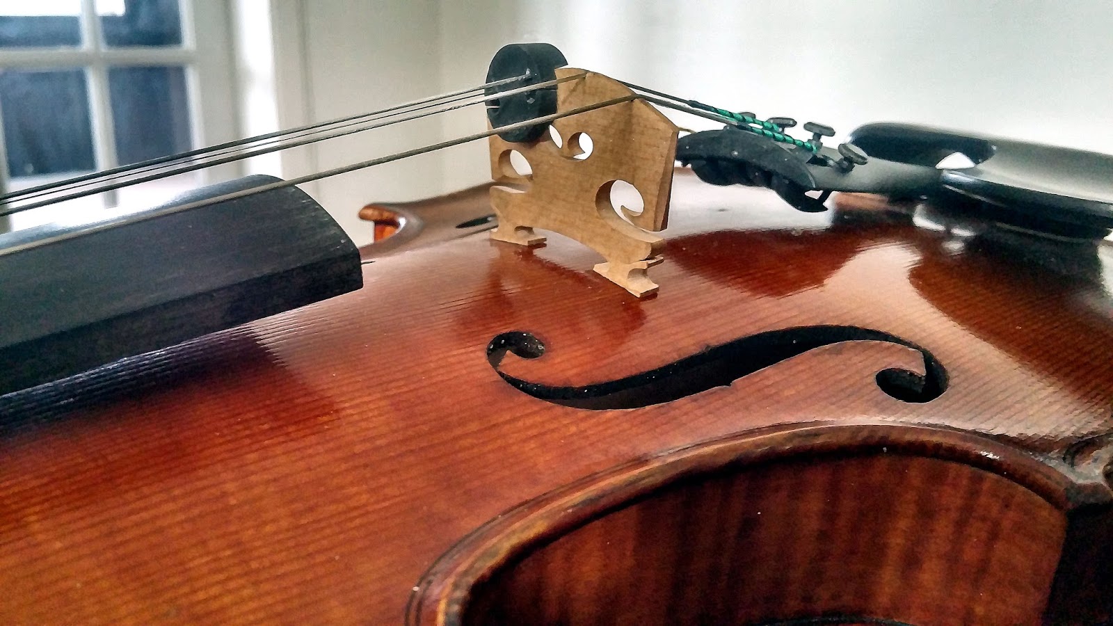 Photo of Joe's Violin Lessons in Rutherford City, New Jersey, United States - 3 Picture of Point of interest, Establishment