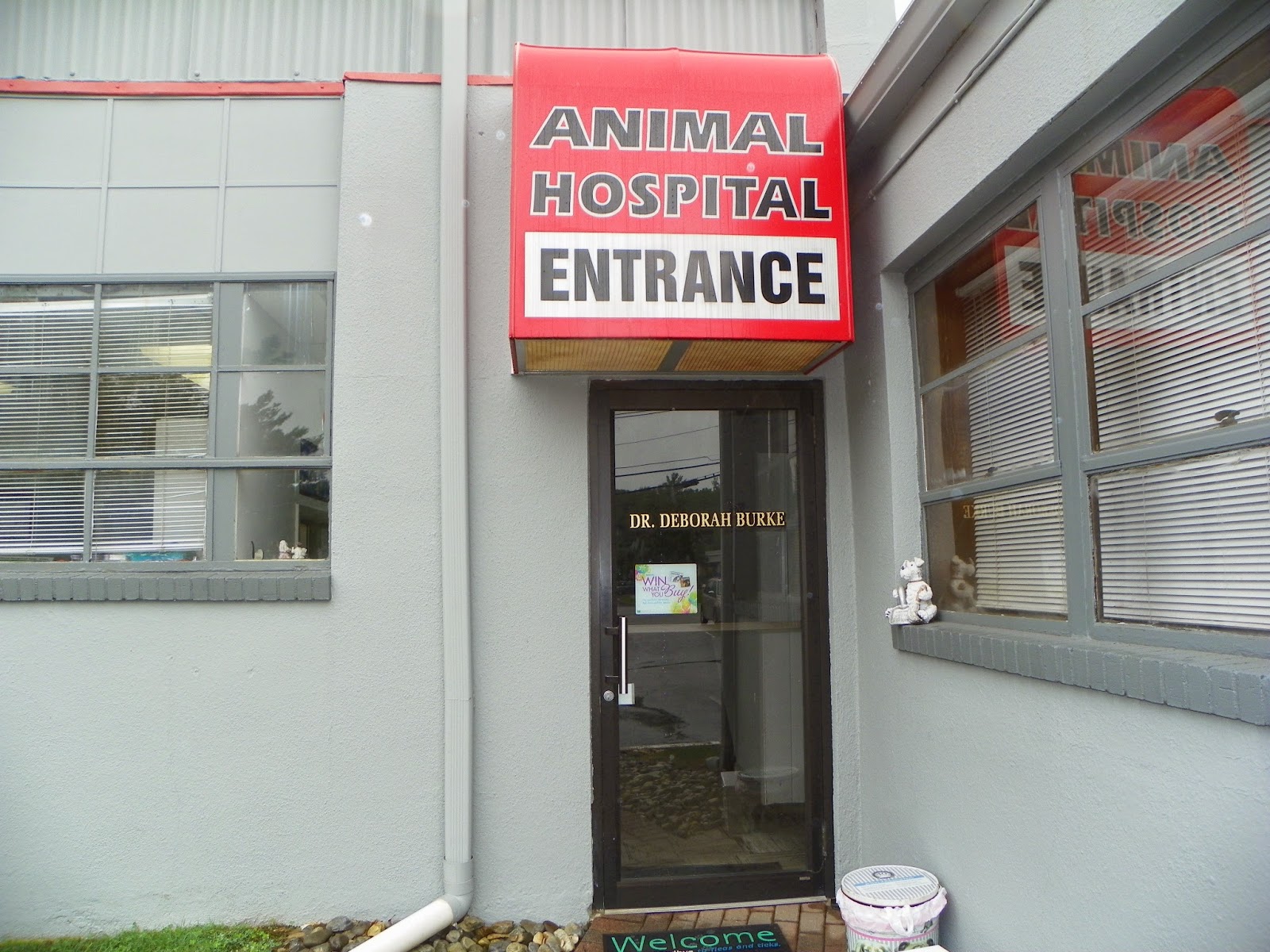 Photo of All Creatures Great & Small Animal Hospital in Fairfield City, New Jersey, United States - 4 Picture of Point of interest, Establishment, Veterinary care