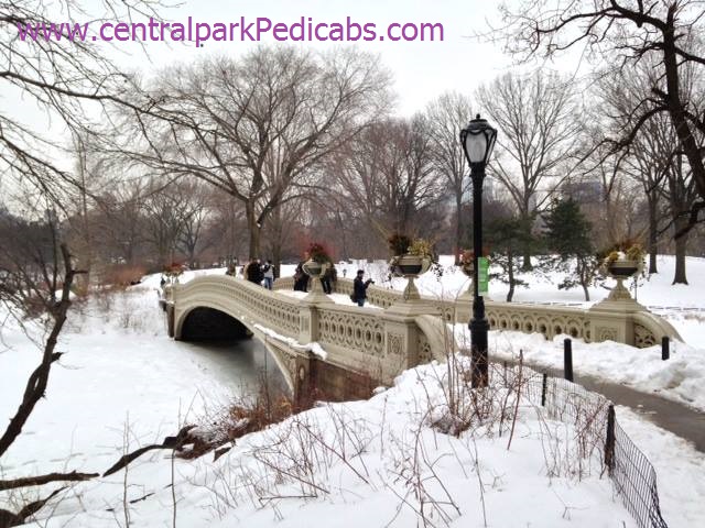 Photo of Central Park Pedicab Tours in New York City, New York, United States - 4 Picture of Point of interest, Establishment, Parking