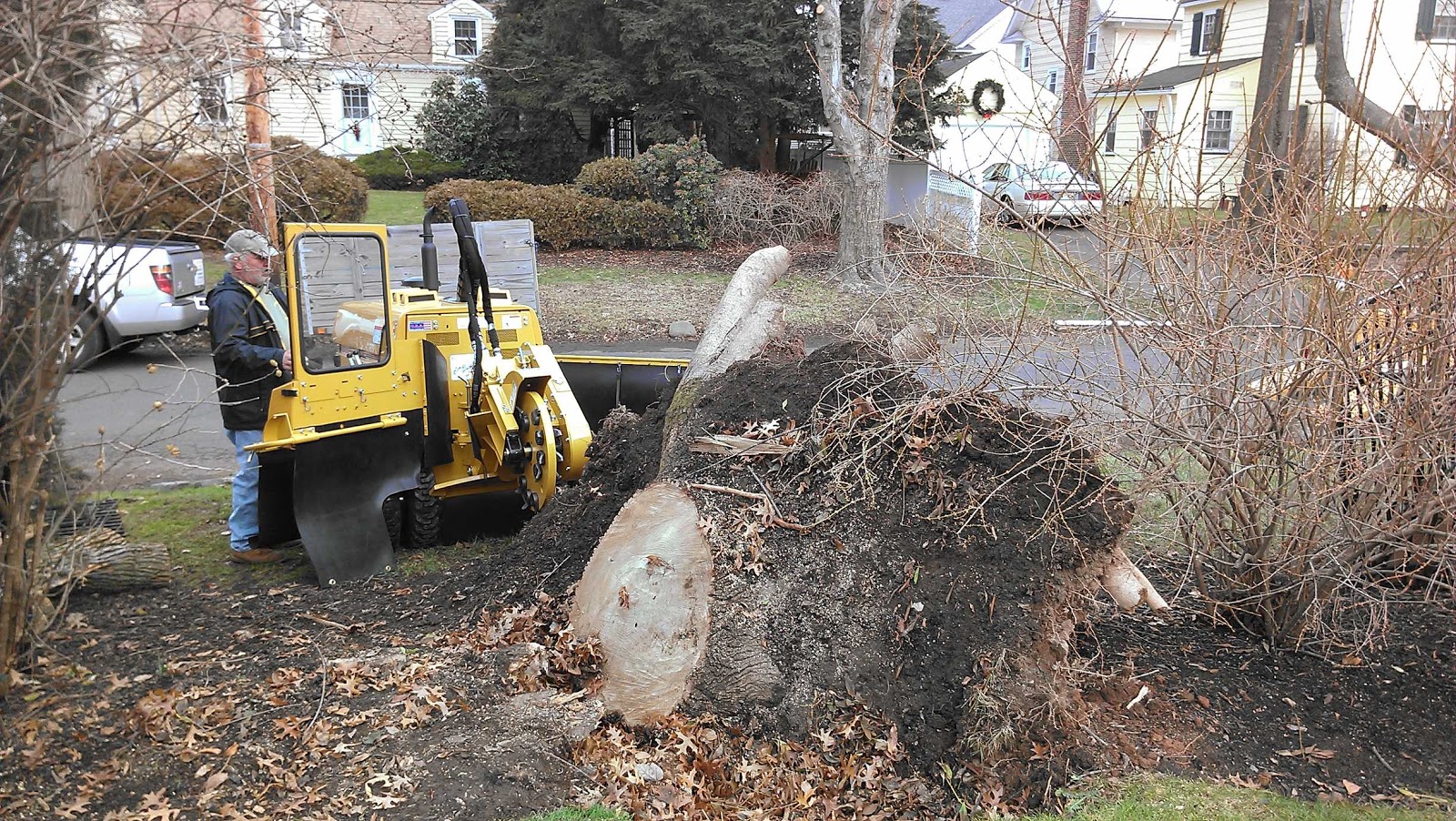 Photo of the Tree and Stump Pros in Clark City, New Jersey, United States - 1 Picture of Point of interest, Establishment