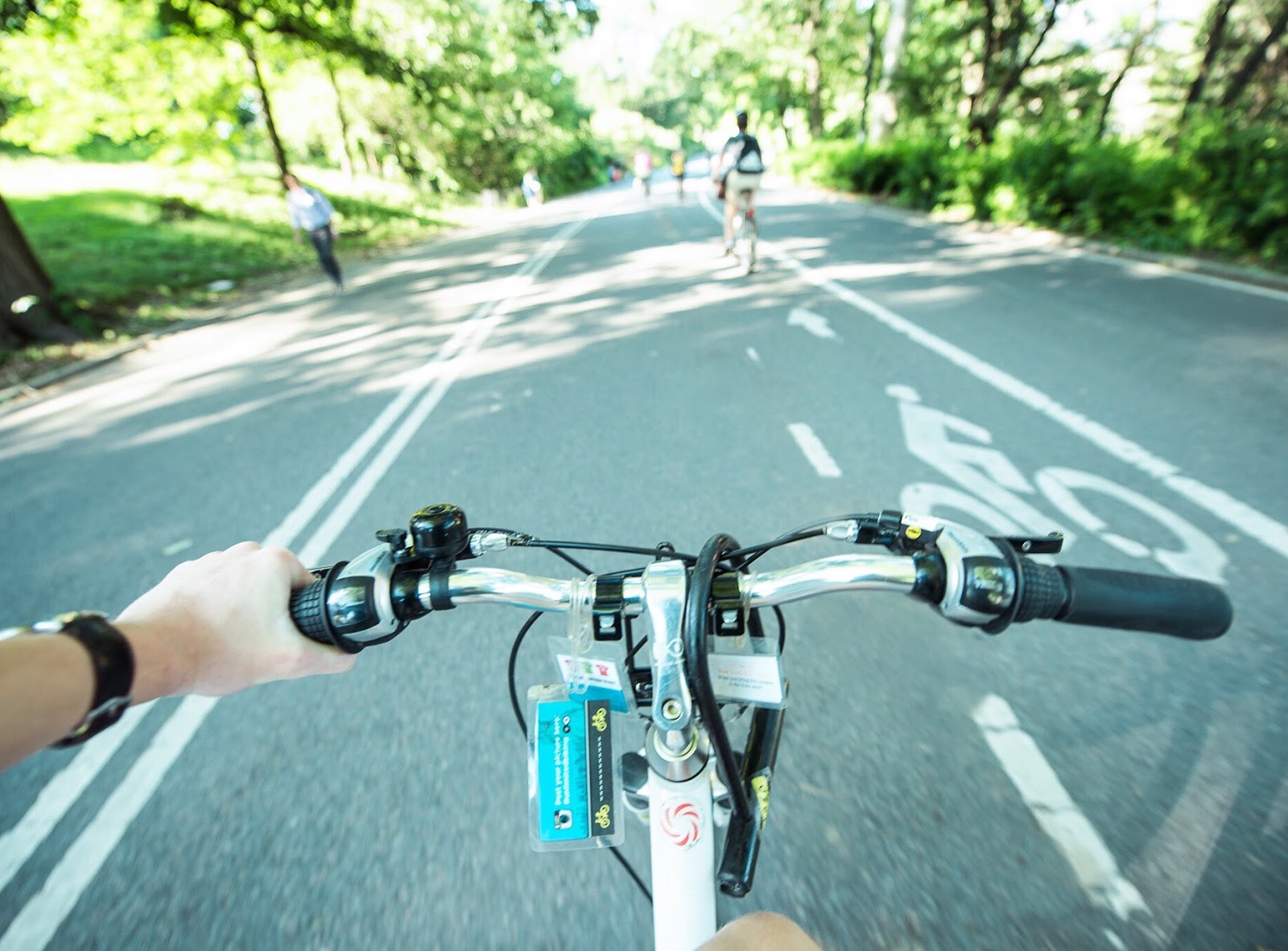 Photo of Central Park Sightseeing Bike Rentals And Tours in New York City, New York, United States - 7 Picture of Point of interest, Establishment, Travel agency