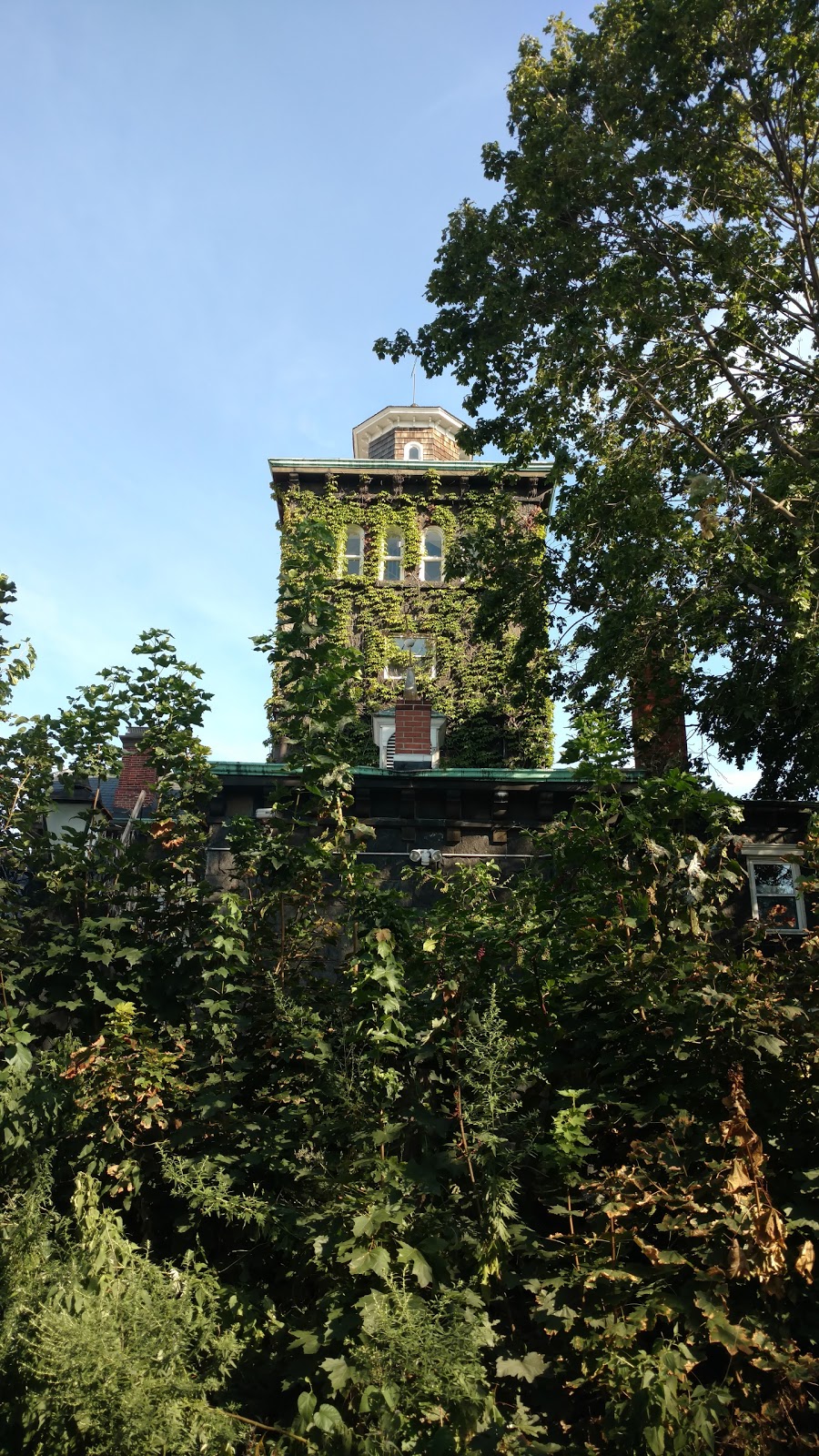 Photo of Steinway Mansion in Queens City, New York, United States - 1 Picture of Point of interest, Establishment