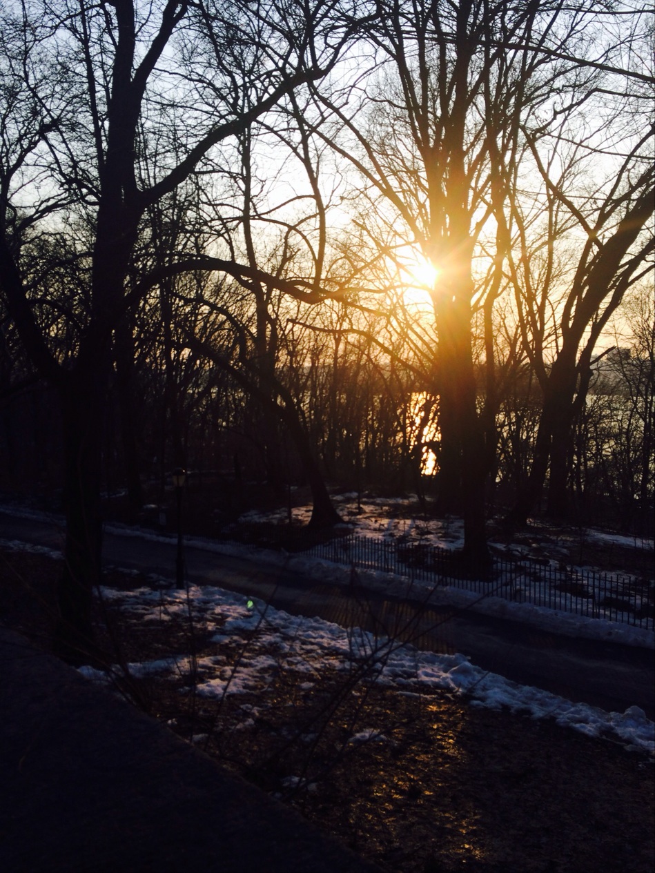 Photo of Riverside Park Tennis Court in New York City, New York, United States - 2 Picture of Point of interest, Establishment, Park