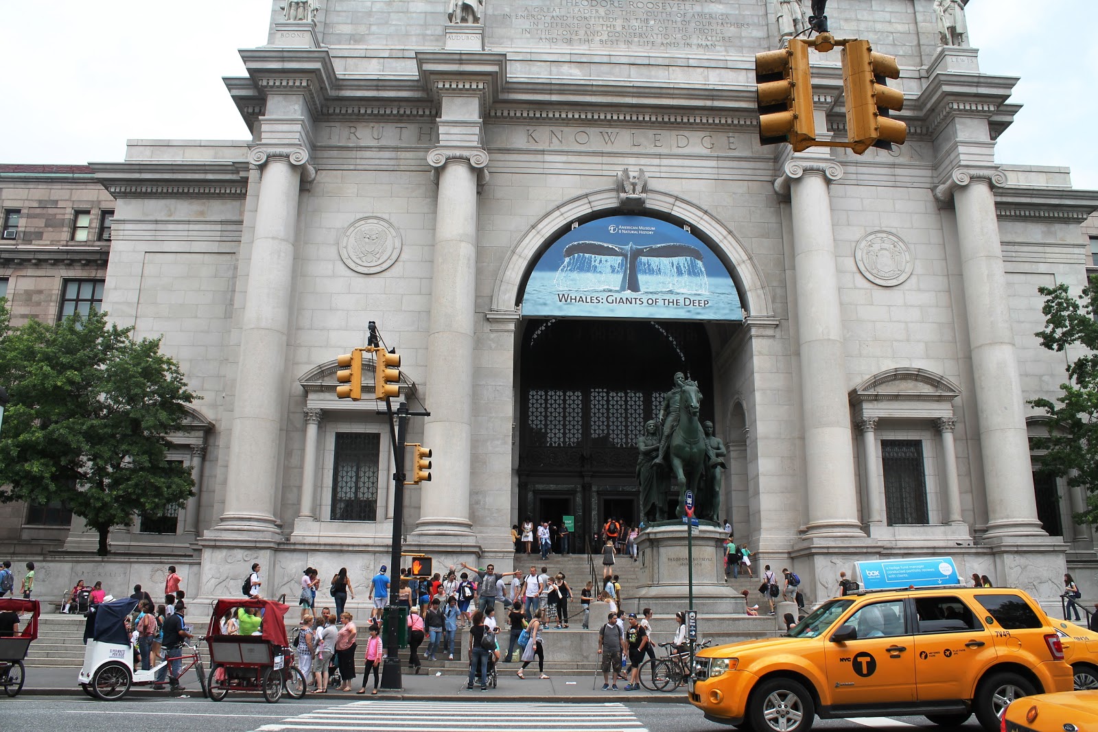 Photo of Museo De Ciencias Naturales in New York City, New York, United States - 1 Picture of Point of interest, Establishment, Museum