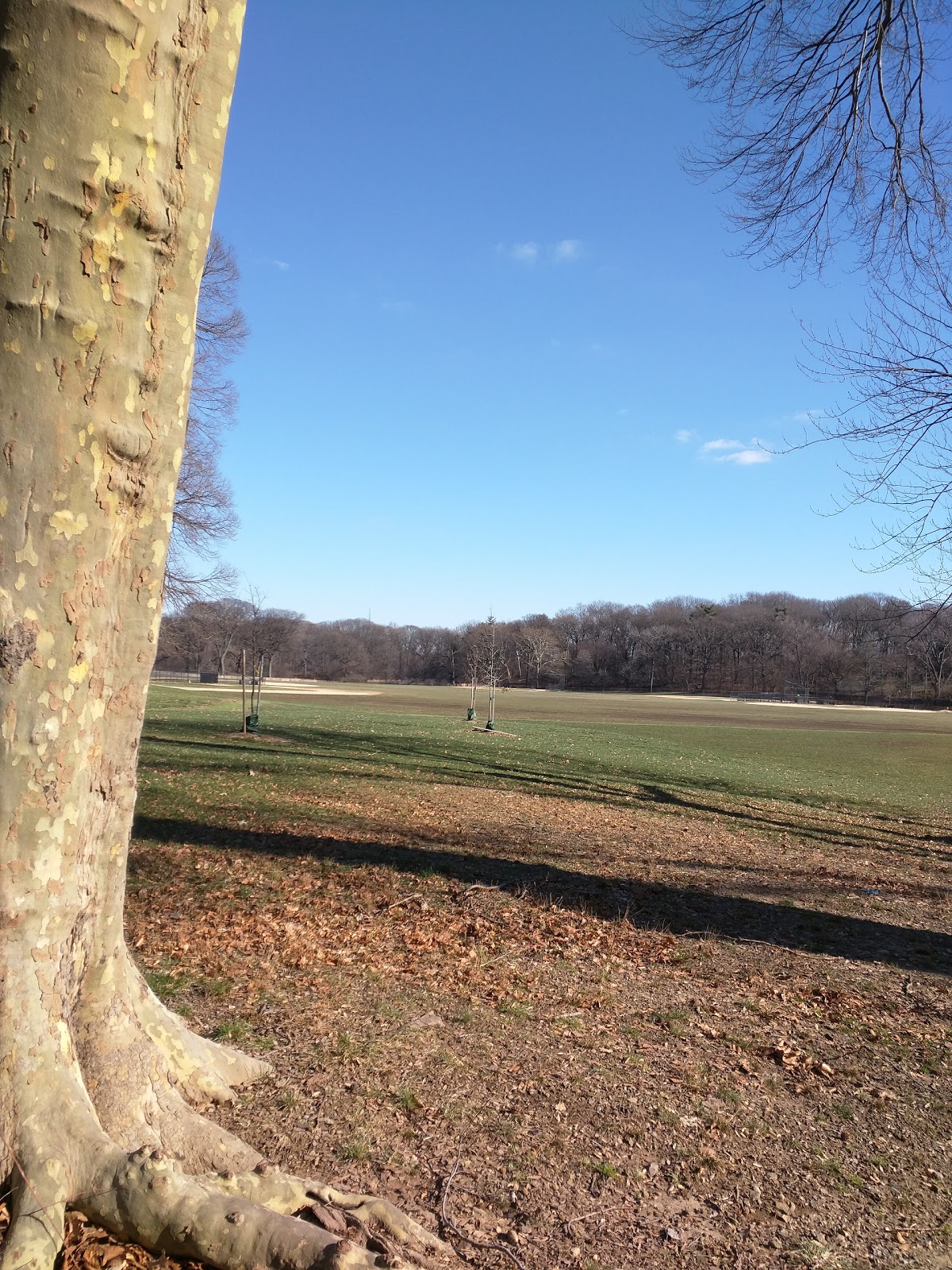 Photo of Long Meadow Ballfields in Brooklyn City, New York, United States - 4 Picture of Point of interest, Establishment, Park