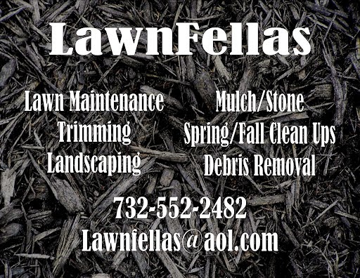 Photo of LawnFellas in Middletown City, New Jersey, United States - 1 Picture of Point of interest, Establishment, Store