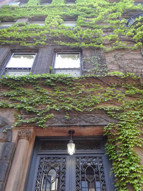 Photo of Stay the Night Bed & Breakfast in New York City, New York, United States - 1 Picture of Point of interest, Establishment, Lodging