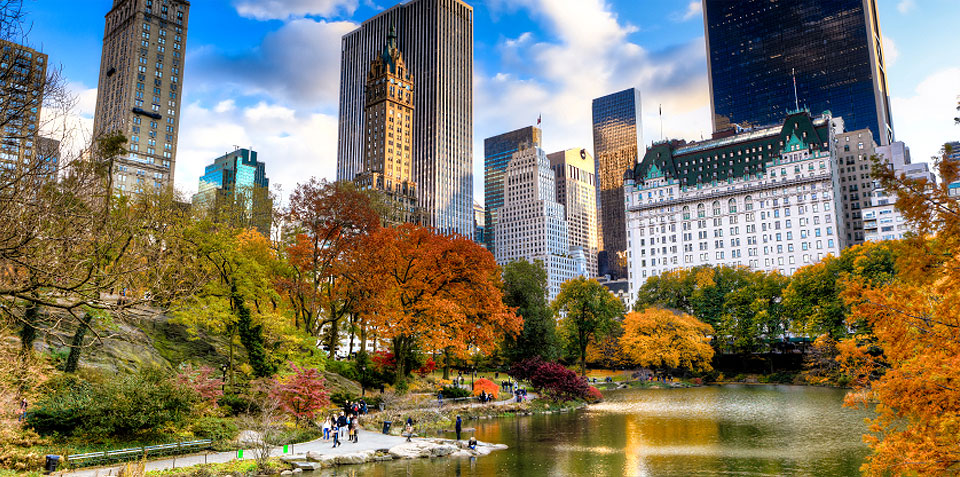 Photo of Hotel Grand Union in New York City, New York, United States - 3 Picture of Point of interest, Establishment, Lodging