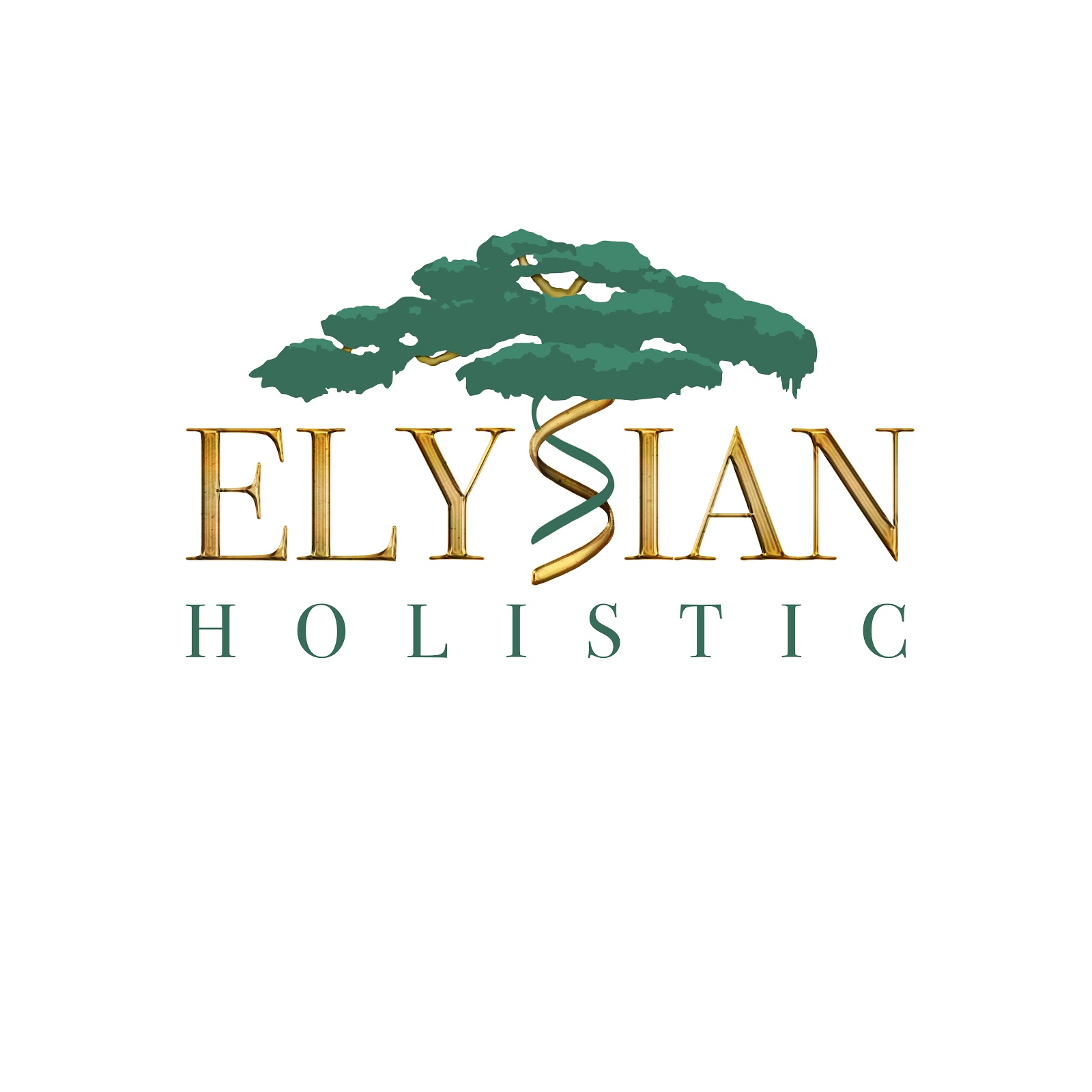 Photo of Elysian Holistic in New York City, New York, United States - 2 Picture of Point of interest, Establishment, Health