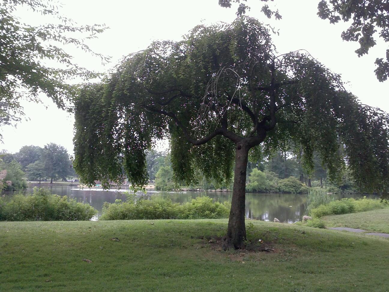 Photo of Warinanco Park in Roselle City, New Jersey, United States - 3 Picture of Point of interest, Establishment, Park