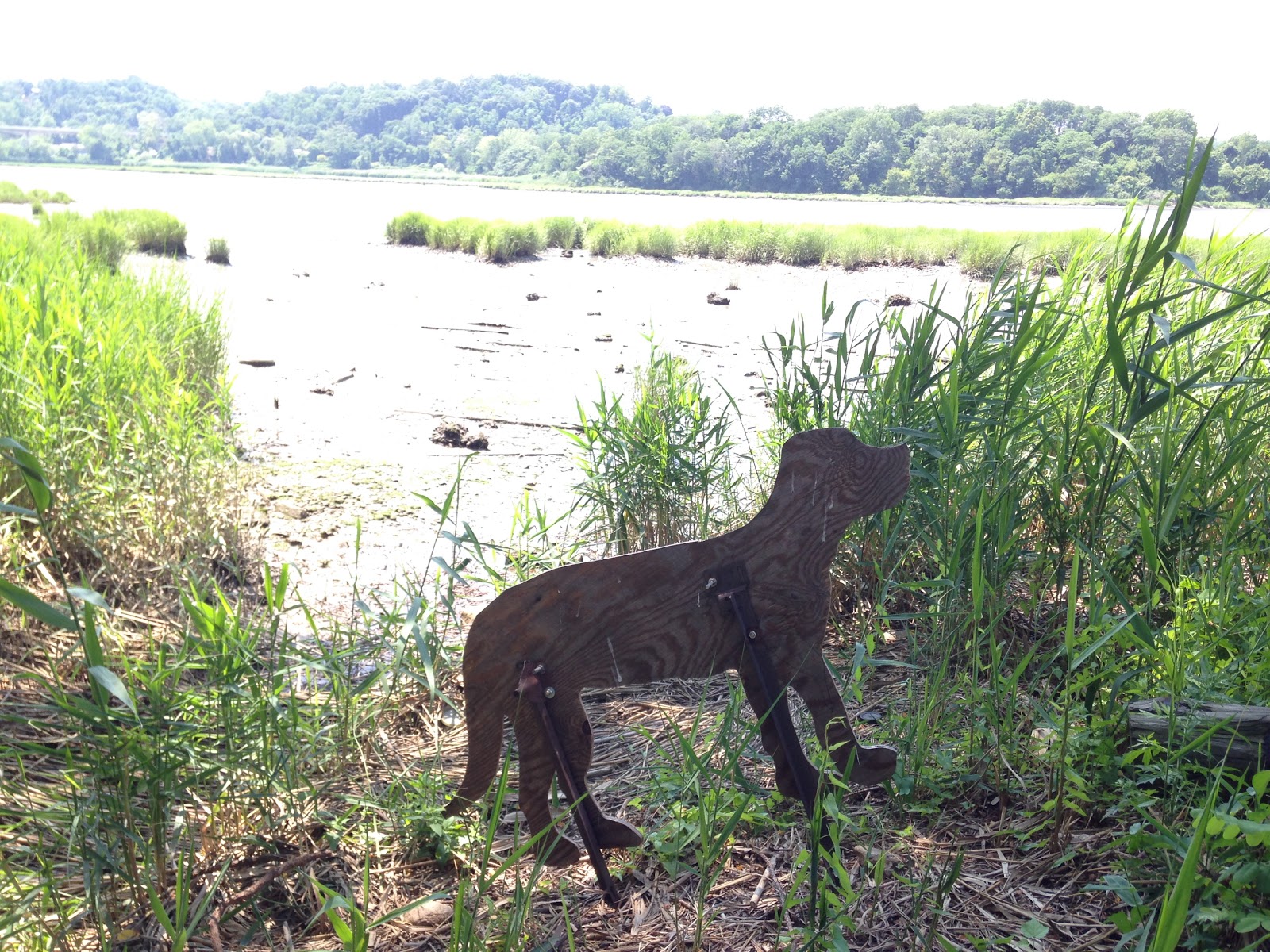 Photo of Cedarmere Park in Roslyn City, New York, United States - 8 Picture of Point of interest, Establishment, Park