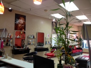 Photo of Finest Cut N Style in Saddle Brook City, New Jersey, United States - 2 Picture of Point of interest, Establishment, Beauty salon