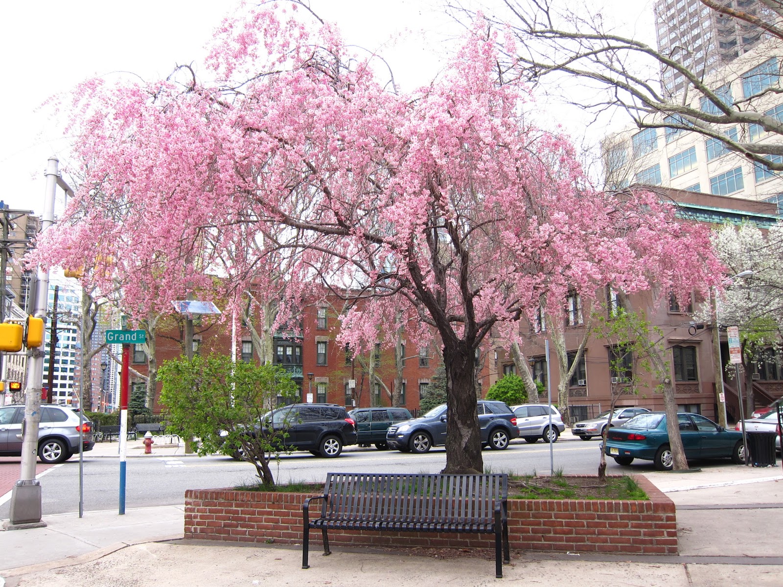 Photo of Paulus Hook Park in Jersey City, New Jersey, United States - 3 Picture of Point of interest, Establishment, Park