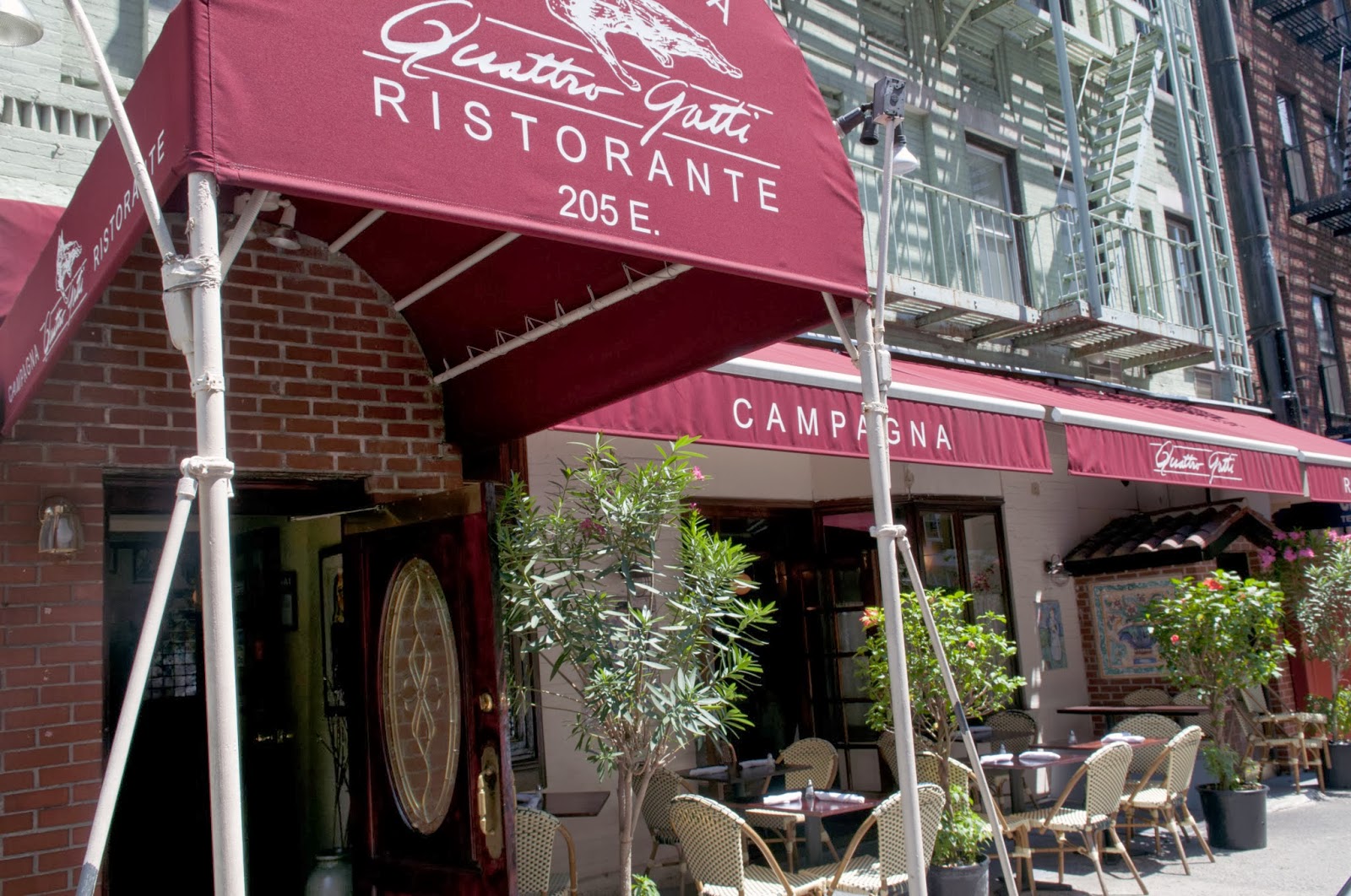 Photo of Campagna Quattro Gatti in New York City, New York, United States - 1 Picture of Restaurant, Food, Point of interest, Establishment, Bar