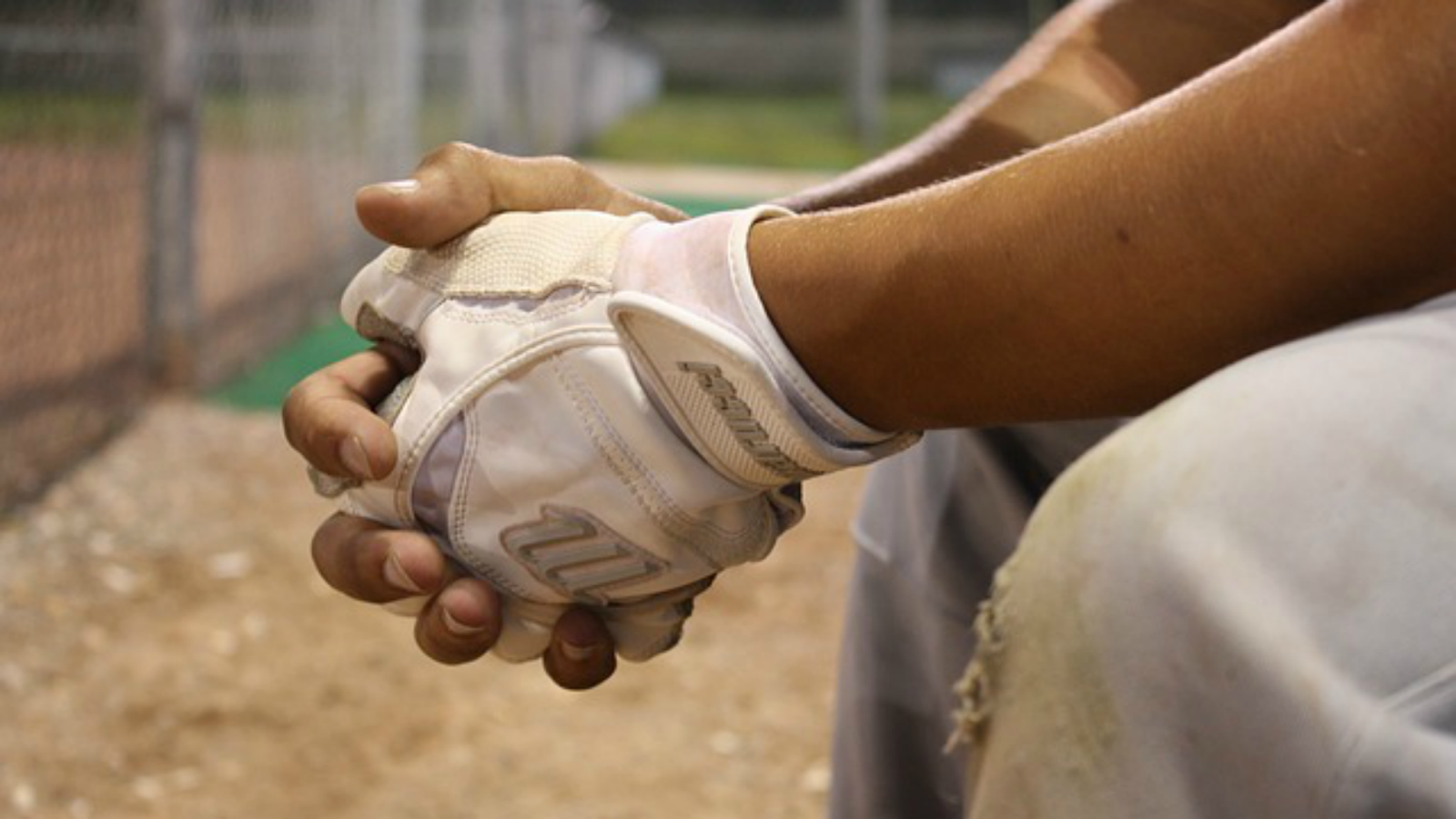 Photo of Grand Slam Batting Cages in Bronx City, New York, United States - 1 Picture of Point of interest, Establishment