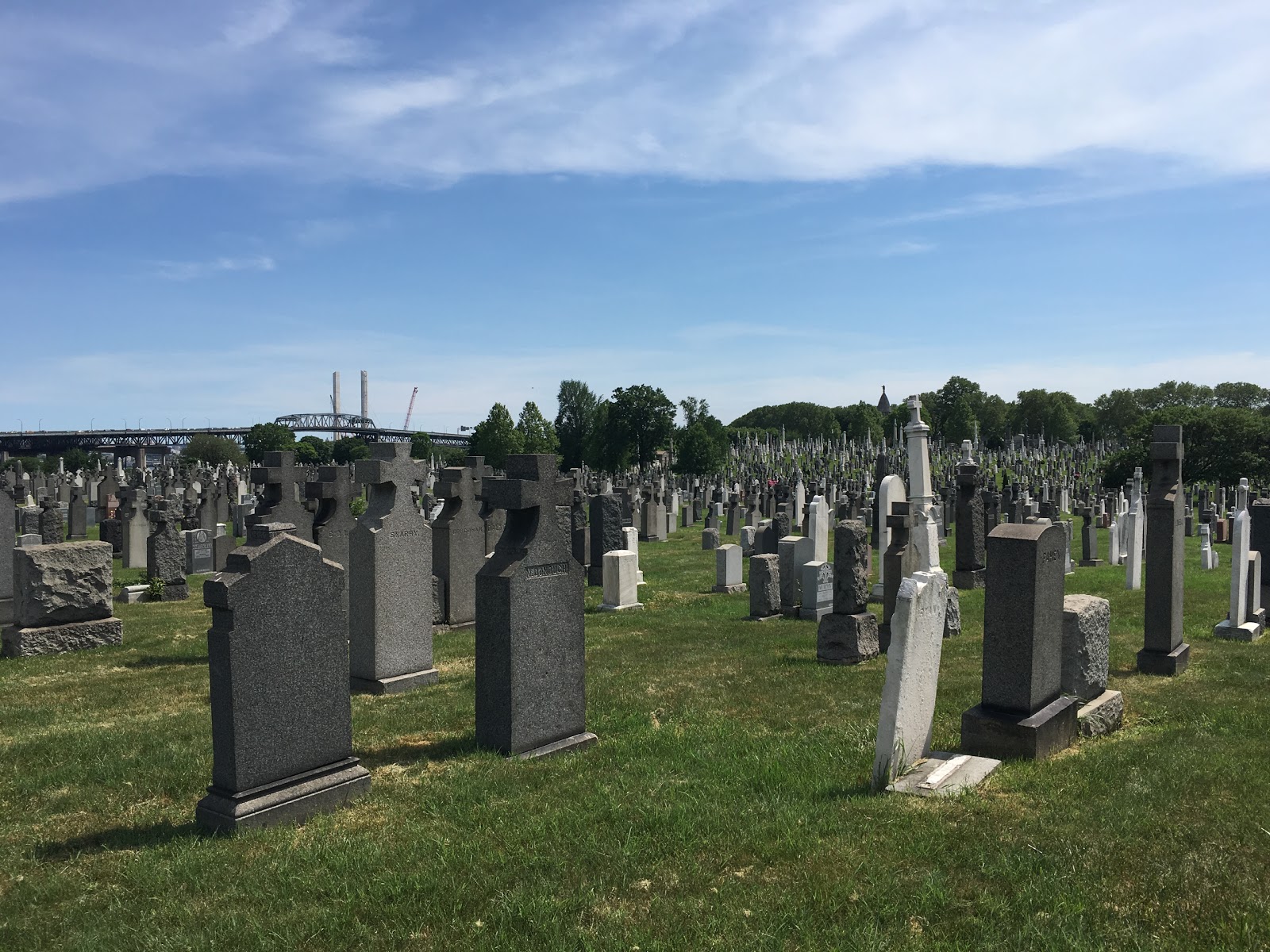 Photo of First Calvary Cemetery in New York City, New York, United States - 9 Picture of Point of interest, Establishment, Cemetery