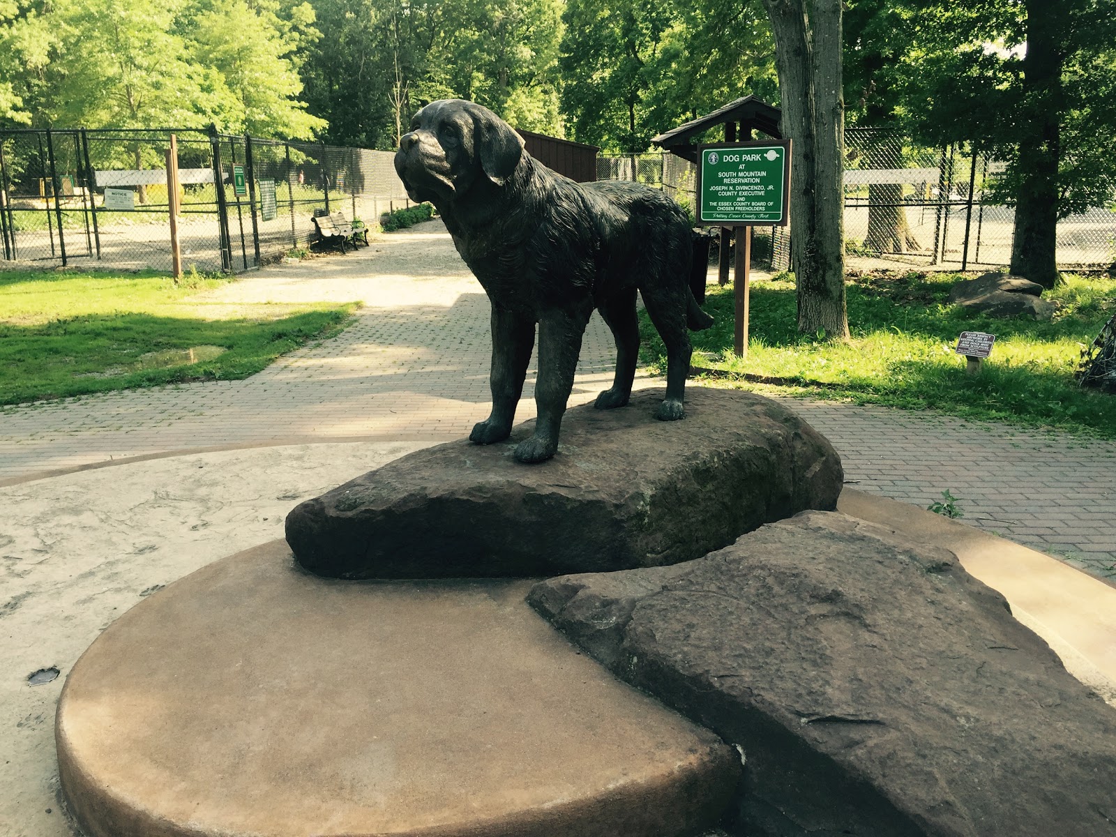 Photo of South Mountain Dog Park in Maplewood City, New Jersey, United States - 2 Picture of Point of interest, Establishment, Park