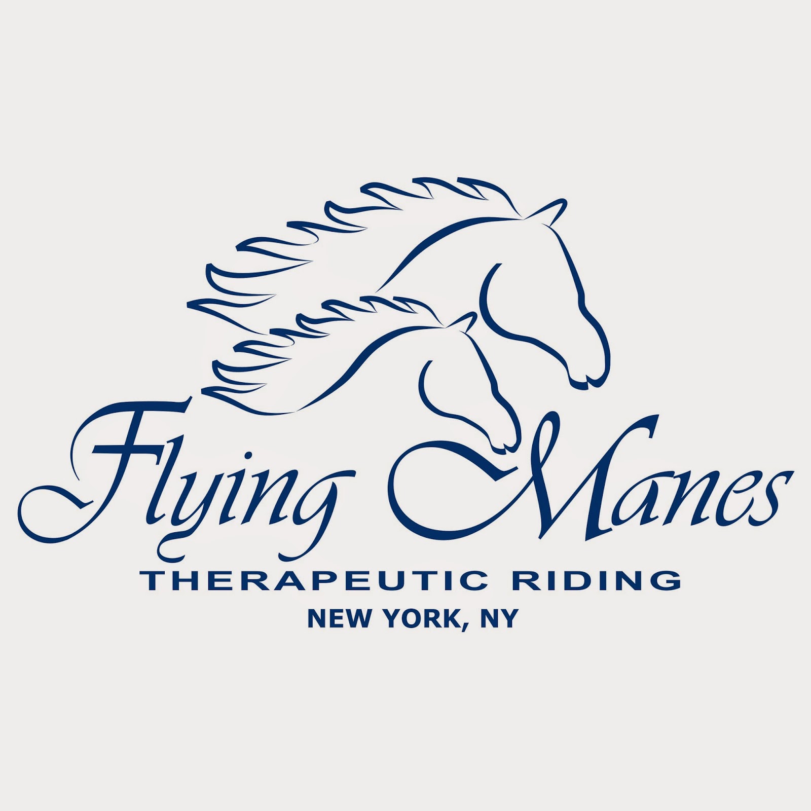 Photo of Flying Manes Therapeutic Riding, Inc. in New York City, New York, United States - 1 Picture of Point of interest, Establishment, Travel agency