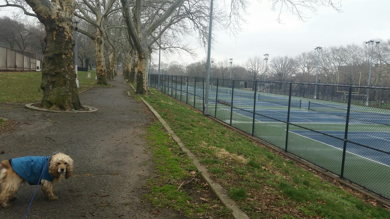 Photo of Highland Park in Brooklyn City, New York, United States - 8 Picture of Point of interest, Establishment, Park