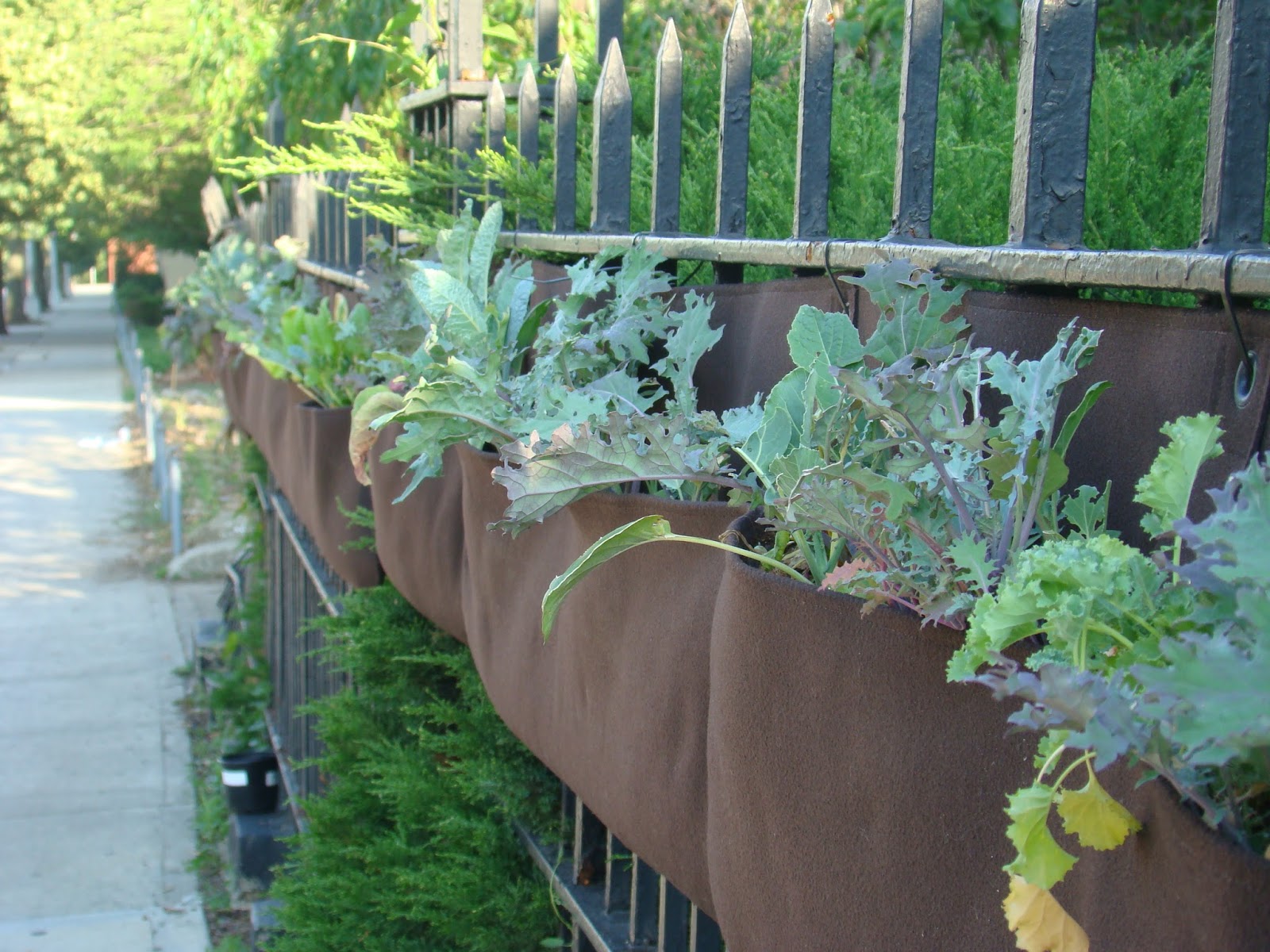 Photo of Brooklyn Urban Garden Charter School in Kings County City, New York, United States - 2 Picture of Point of interest, Establishment, School