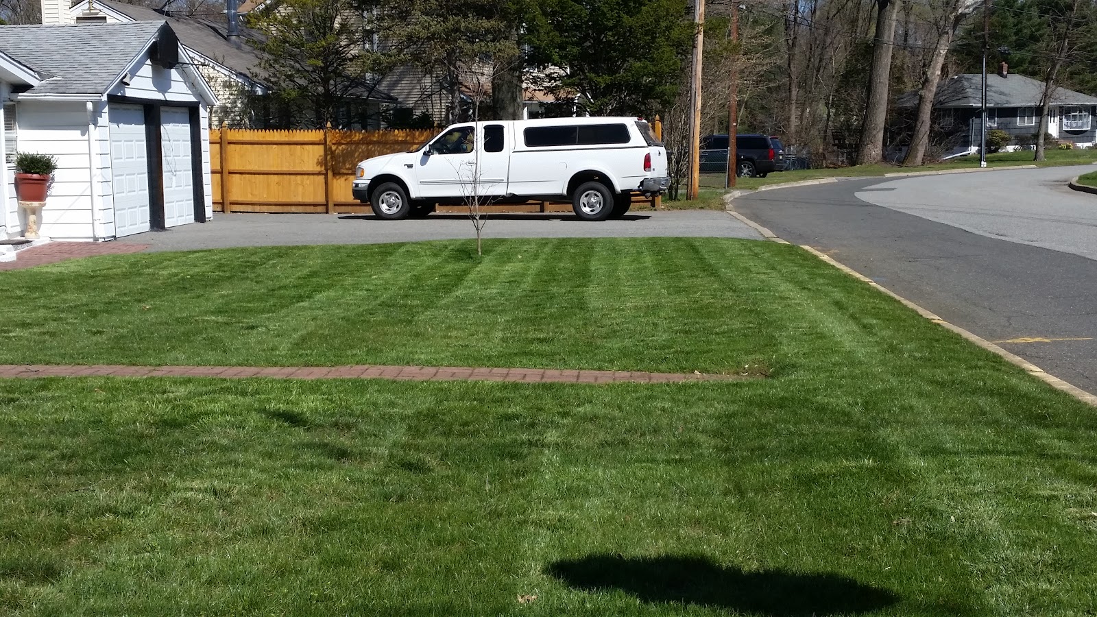 Photo of MurgasLandscaping LLC. in Newark City, New Jersey, United States - 2 Picture of Point of interest, Establishment