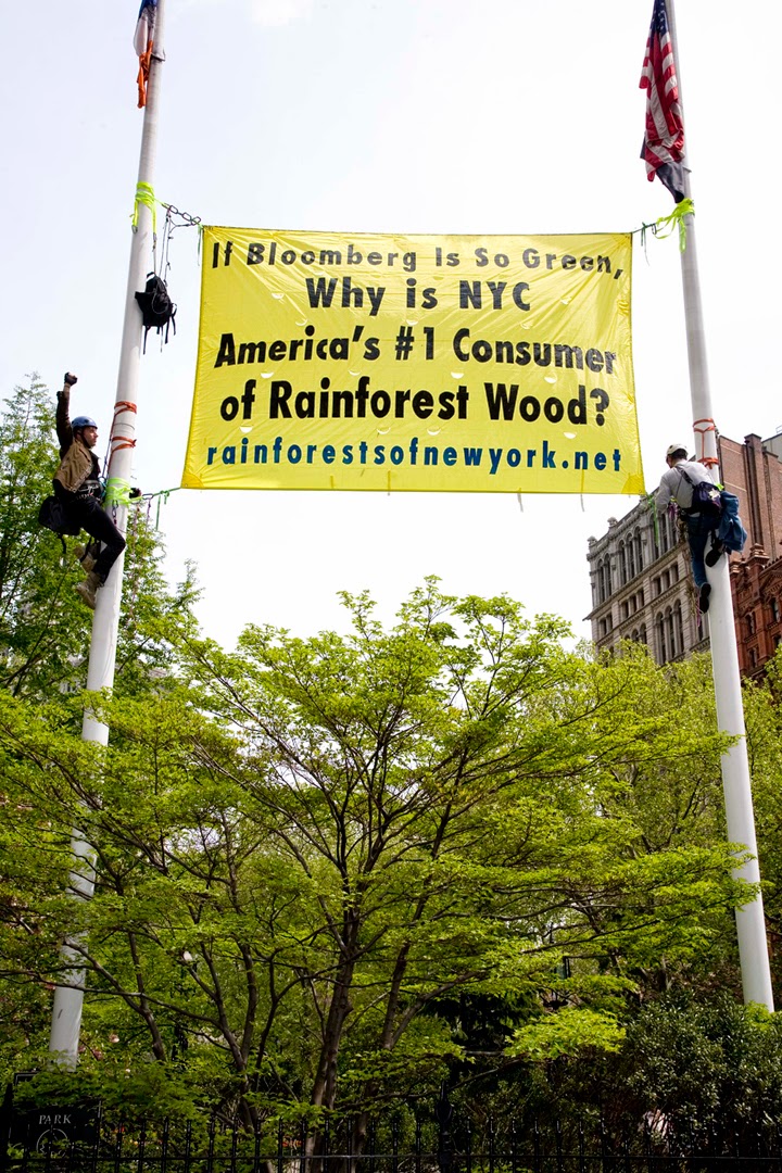 Photo of Rainforest Relief in Jersey City, New Jersey, United States - 2 Picture of Point of interest, Establishment